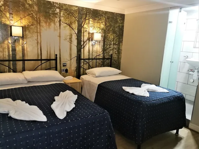 غرفة قياسية ثلاثية بسرير مزدوج وسرير فردي، Central Hotel 4/6