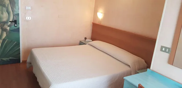 غرفة بسرير مزدوج أو سريرين منفصلين، Hotel Britannia 3/10