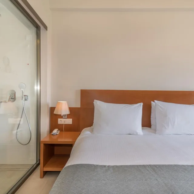 غرفة مفردة، Palmyra Hotel 4/10