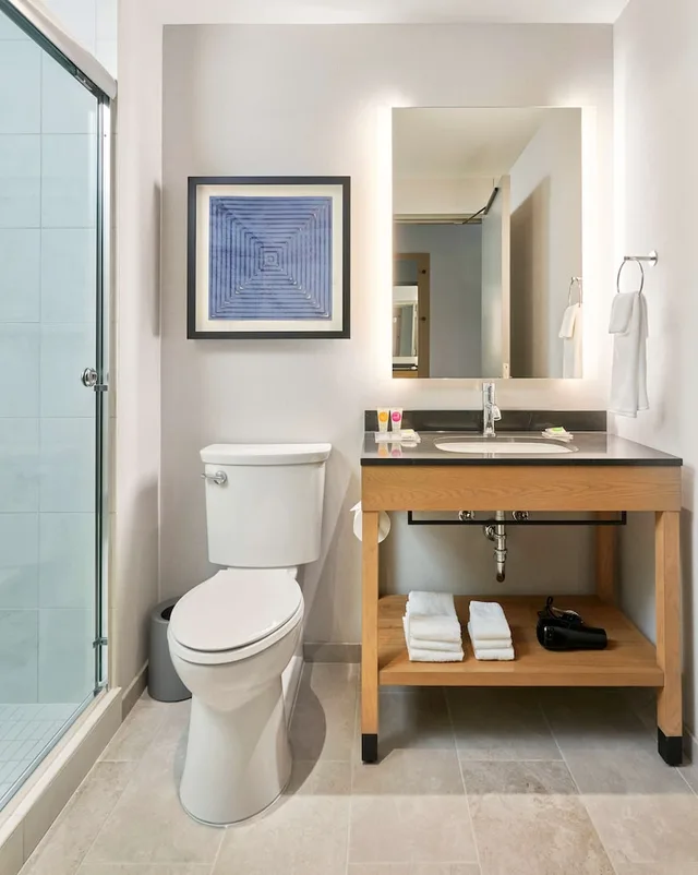غرفة بسرير كينج، Hyatt Place Chicago Medical University District 3/3