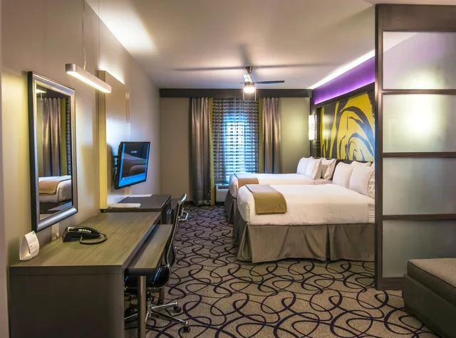 غرفة ديلوكس بسريرين منفصلين لذوي الإعاقة، Holiday Inn Express Suites Garland E Lake Hubbard I30 4/4