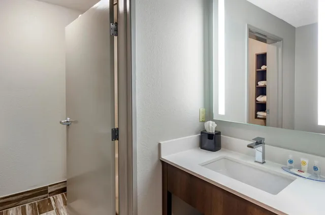 غرفة بسرير كينج يُسمح فيها بالحيوانات الأليفة، Comfort Inn & Suites Troutville-Roanoke North 7/9