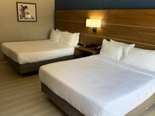 غرفة رباعية بسريرين كوين، Comfort Inn & Suites Tyler North 1/4
