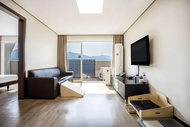 غرفة بريميير يُسمح فيها بالحيوانات الأليفة، Kensington Resort Chungju 1/1