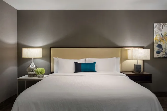 جناح جونيور بسرير كينج، Hilton Garden Inn Lubbock 1/7
