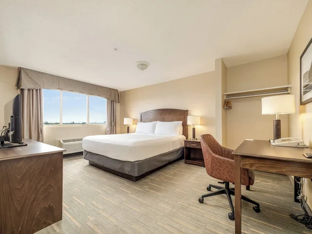 جناح بسرير كينج وسرير كوين بغرفة نوم واحدة، HOLIDAY INN LETHBRIDGE 10/10