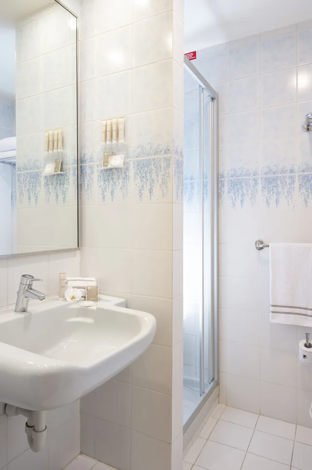 غرفة سوبيريور ثلاثية، Hotel Grifone Firenze 3/3