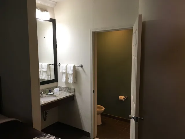غرفة قياسية بسرير كينج، Sleep Inn Scott/Lafayette West 3/4