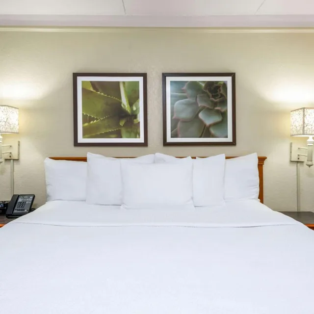 Executive, King Bed, La Quinta Inn by Wyndham Deerfield Beach I-95 at Hillsboro E 5/6