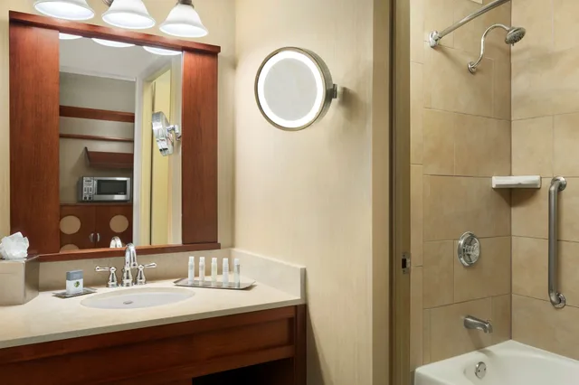 Executive, Murphy Bed, Club Lounge Access، DoubleTree by Hilton Hotel Dallas DFW Airport North 2/2