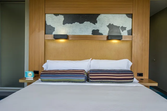 Aloft, King Bed، Aloft Nashville-Cool Springs 6/9