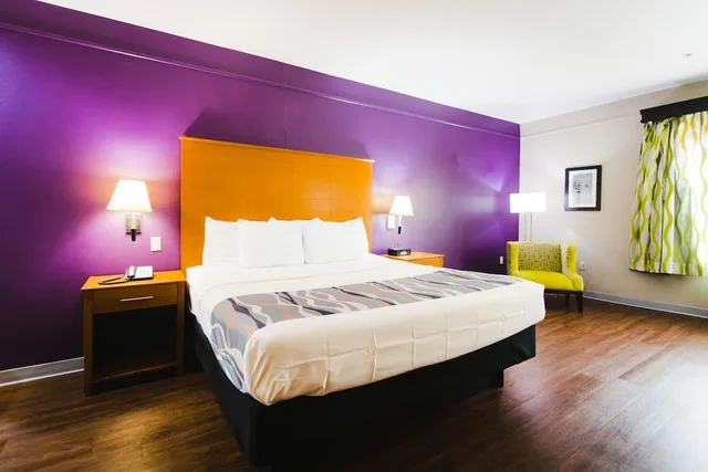 غرفة أساسية مفردة، Palacio Royale Inn Signature 1/1