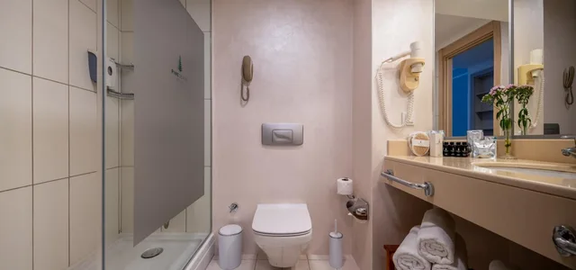غرفة قياسية بسرير مزدوج أو سريرين منفصلين بإطلالة على الحديقة، Pine Beach Hotel 5/5