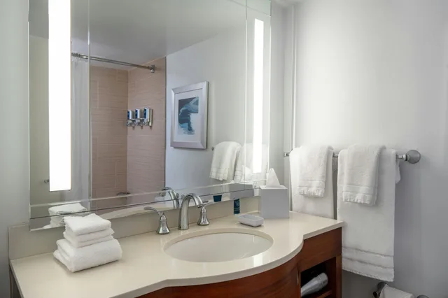 غرفة، Four Points by Sheraton Suites Tampa Airport Westshore 3/3