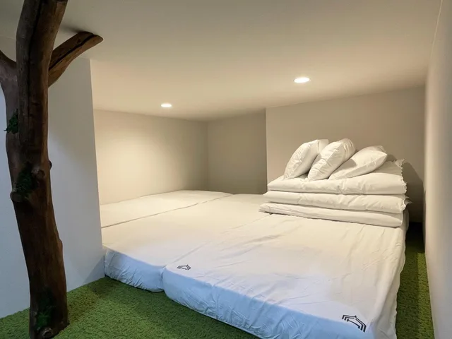 Tree House, 6 Beds، 365Base Outdoor Hostel 1/2
