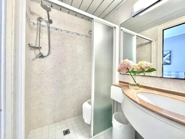 Economy, Single, Queen Bed, Balcony, Hotel Maestri 5/8