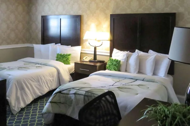 غرفة بسرير مزدوج، RODEWAY INN LOGAN INTERNATIONAL AIRPORT 1/1
