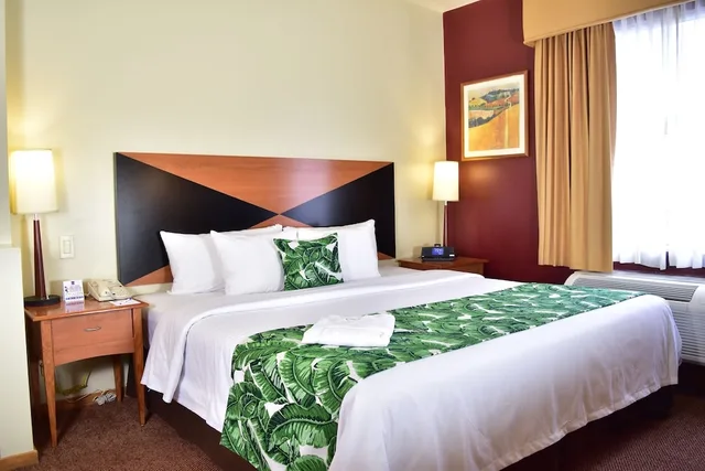 جناح بسرير كينج مع أريكة، Sleep Inn Hotel Paseo Las Damas 3/8