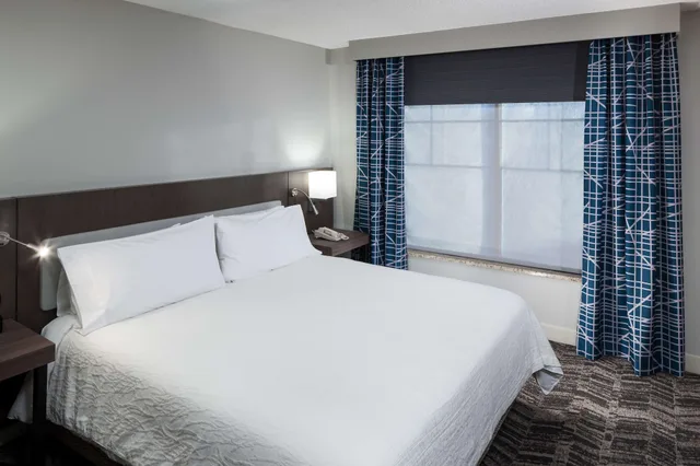 Mini, Suite, King Bed، Hilton Garden Inn Hilton Head 2/4