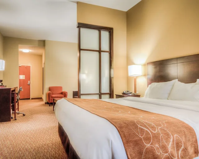جناح بسرير كينج لذوي الإعاقة، Comfort Suites Pecos 5/10