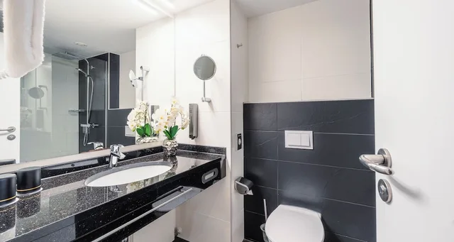جناح، Plaza Hotel Darmstadt 4/5
