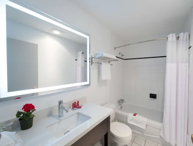 Room Assigned on Arrival, 2 Queen Beds, SureStay Hotel by Best Western Castlegar 7/8