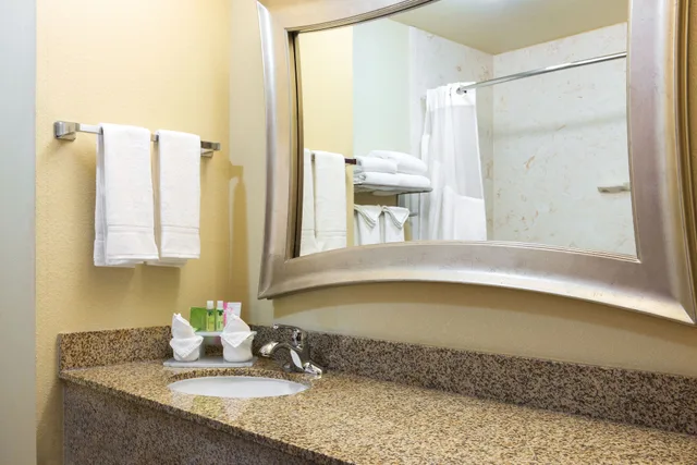 غرفة قياسية بسرير كينج لذوي الإعاقة، Holiday Inn Express & Suites Lexington Dtwn Area-Keenland 6/8