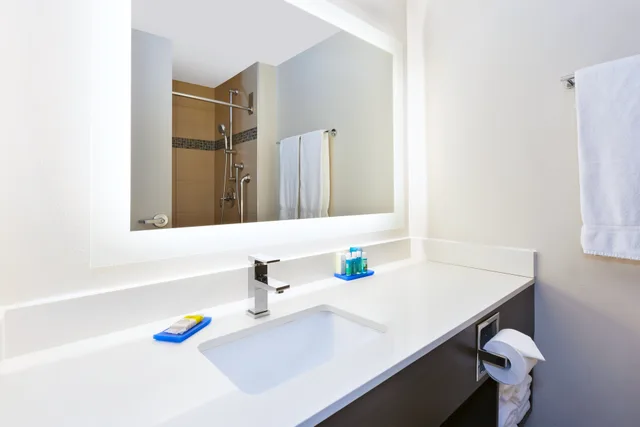 غرفة قياسية بسرير كينج، Holiday Inn Winnipeg Airport Polo Park 2/3