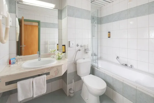 Economy, French Bed, Balcony, Park Side، Hotel Aurora Plava Laguna 5/6