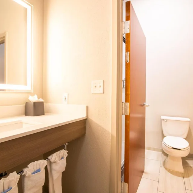 Mini, Suite, King Bed، Holiday Inn Express Hotel Suites College Station 7/7