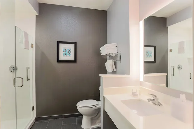 غرفة بسرير كينج مع أريكة لذوي الإعاقة، Fairfield Inn Suites By Marriott Wichita Falls Northwest 2/2