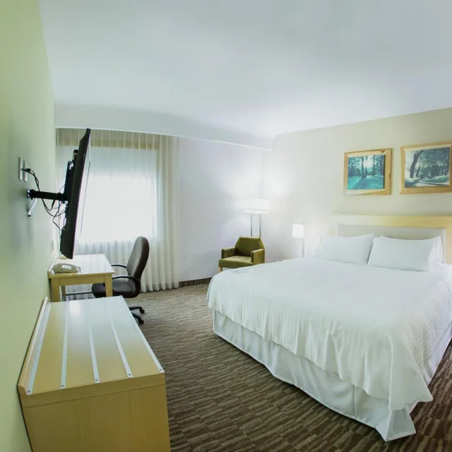غرفة بسرير كينج لذوي الإعاقة، Excellence Express & Suites San Juan Del Rio 2/8