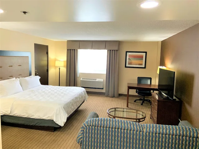 غرفة بريميوم بسرير كينج، Holiday Inn Hotel & Suites Chicago-Carol Stream(Wheaton) 3/3