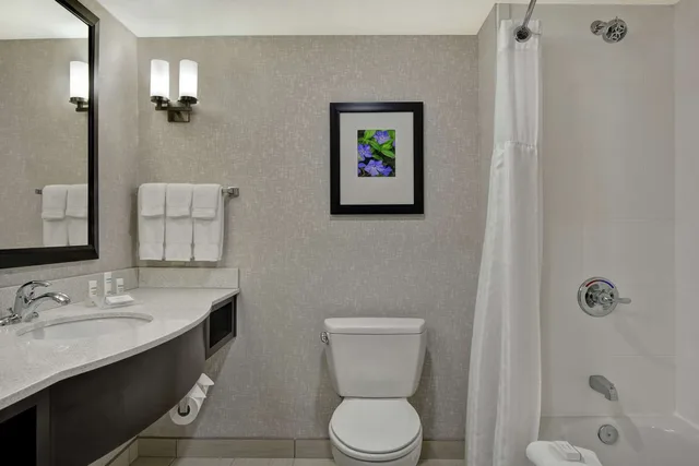 جناح بسرير كينج بغرفة نوم واحدة، Hilton Garden Inn Fayetteville 3/4