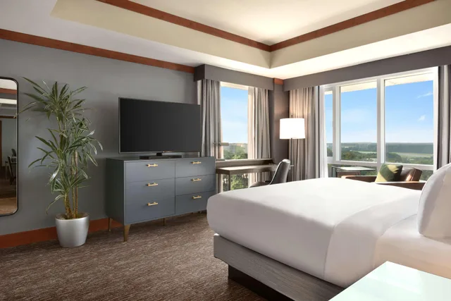 جناح بسرير كينج بغرفة نوم واحدة، Hilton Baltimore Bwi Airport 1/2