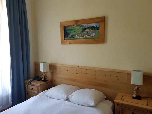 Standard, Double Bed, Hotel De Geneve 2/3