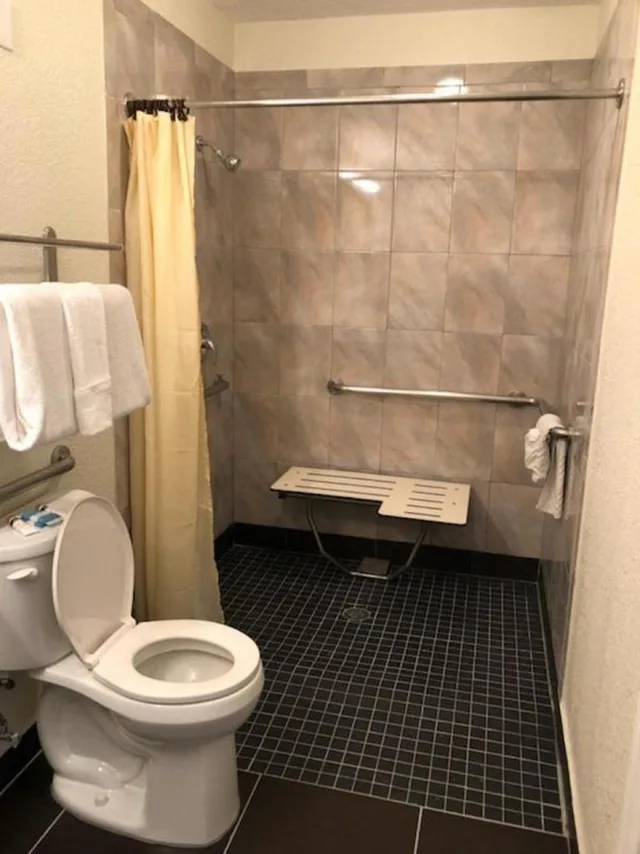 Room, King Bed, Accessible, Floridian Hotel 6/10