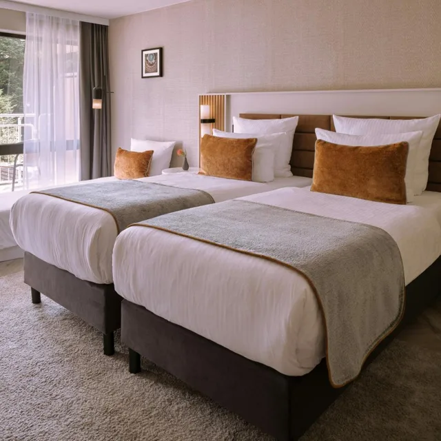 غرفة سوبيريور ثلاثية، Leonardo Royal Hotel Baden Baden 1/9