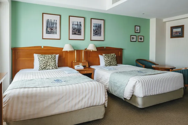 غرفة ديلوكس بسريرين منفصلين، Hotel Boston Plaza Kusatsu 2/10