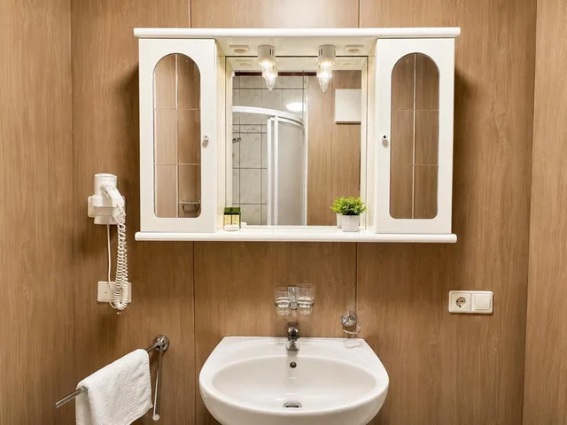 Room, Single, Leipziger Hotel 6/6