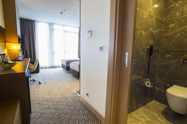 غرفة قياسية بسرير مزدوج أو سريرين منفصلين بإطلالة على البحر بغرفة نوم واحدة، Aselia Hotel Trabzon 6/6