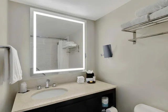 City, Suite, King Bed, Sofa, Accessible، Hotel Tampa Riverwalk 3/4