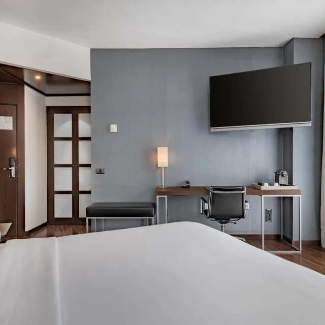 Plus, Standard, King Bed, City View, AC Hotel Burgos by Marriott 3/15