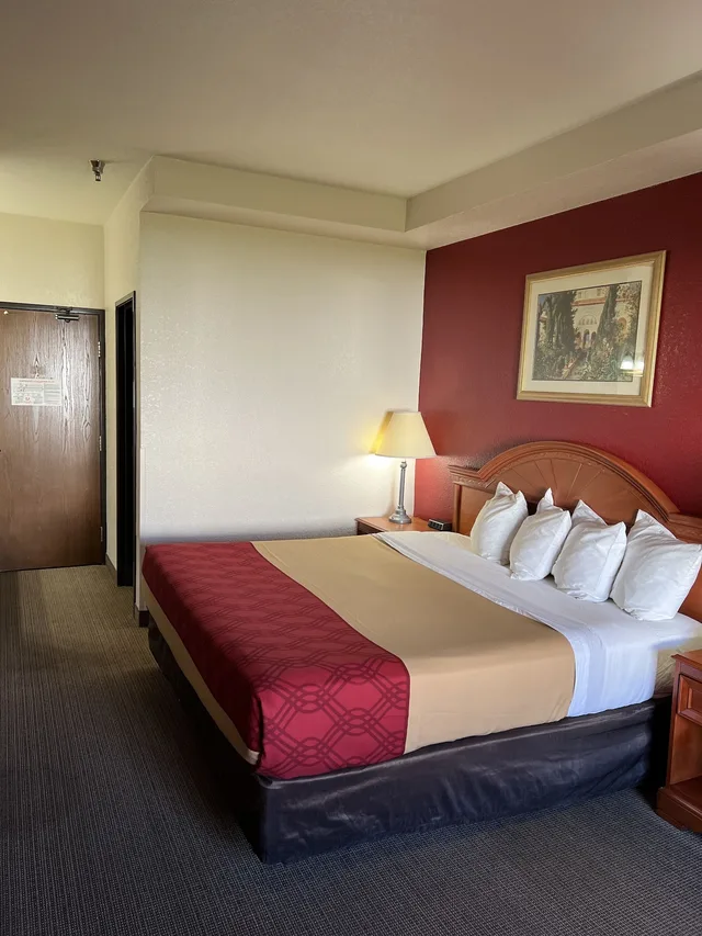 Basic, Single, King Bed, Express Inn & Suites 1/7