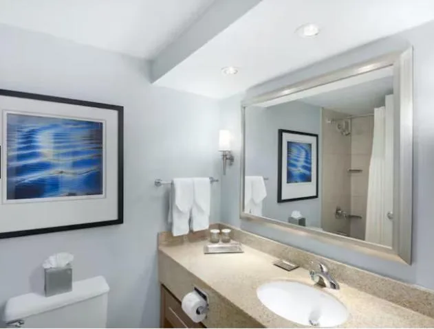 غرفة ديلوكس بسرير كينج لذوي الإعاقة، Hilton Long Island Huntington 3/3