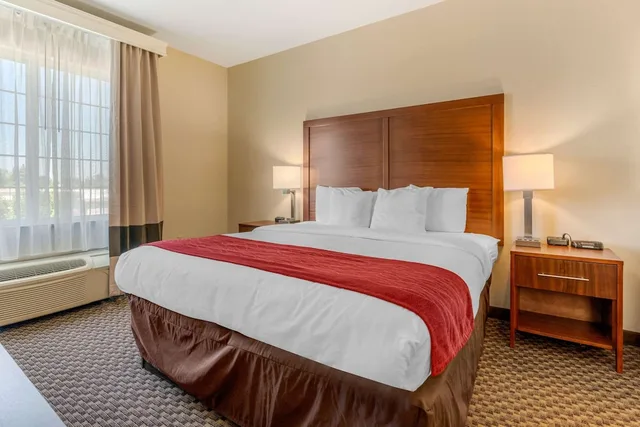 جناح مع أريكة، Comfort Inn & Suites Galt Lodi North 1/6