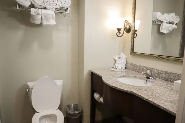 1 Bedroom, Suite, 2 Queen Beds, Sofa, Accessible, Comfort Suites Ocala - North 8/10