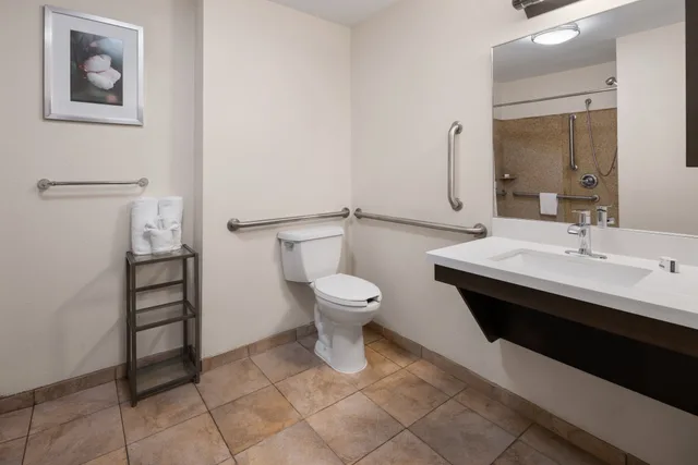 Studio, Suite, Queen Bed, Accessible, Candlewood Suites Norfolk Airport 3/3