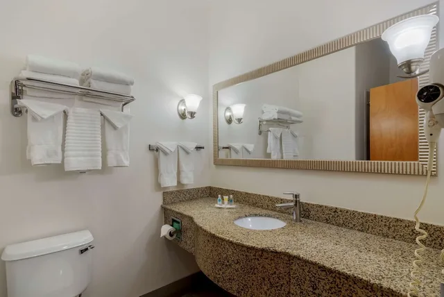 جناح بسرير كينج مع أريكة، Comfort Suites Stockbridge Atlanta South 6/6