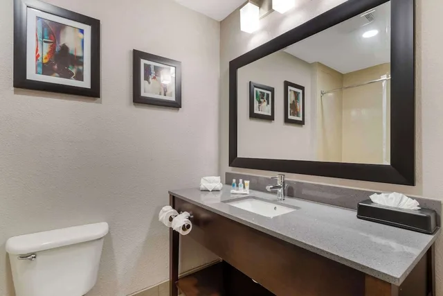 جناح بسرير كينج لذوي الإعاقة، Comfort Suites Shenandoah-The Woodlands 5/5